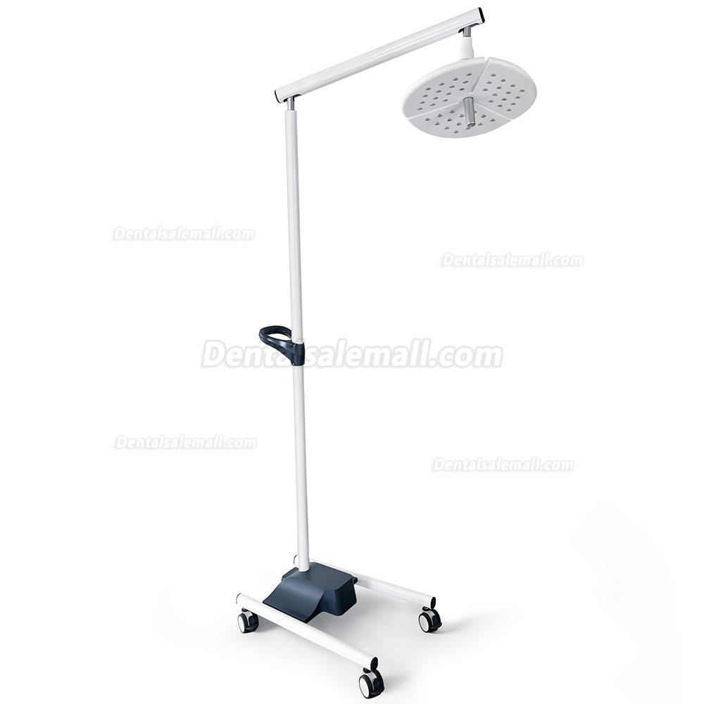 KWS KD-2036L-4 80W Mobile Floor Standing Dental LED Surgical Light with 4 Casters